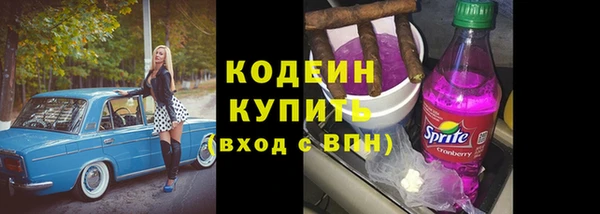 прущие грибы Абинск