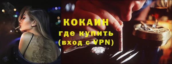 прущие грибы Абинск