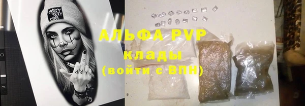 прущие грибы Абинск