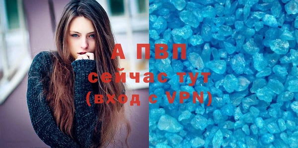 прущие грибы Абинск