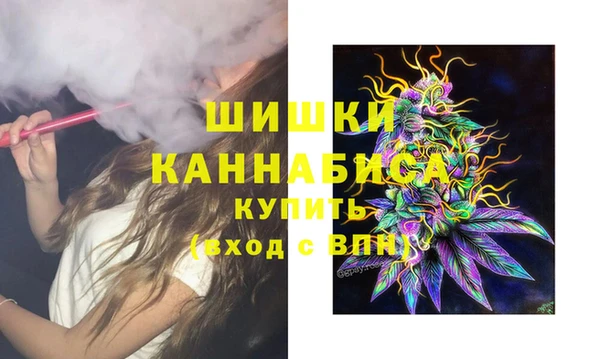 шишки Краснотурьинск