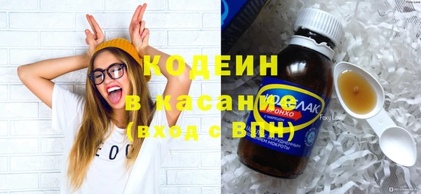 прущие грибы Абинск