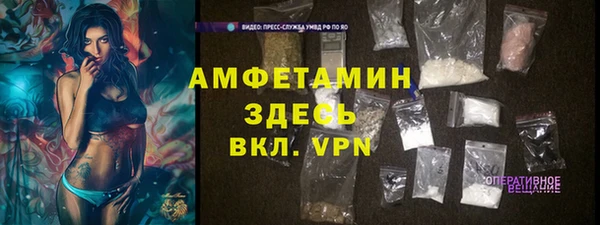 прущие грибы Абинск