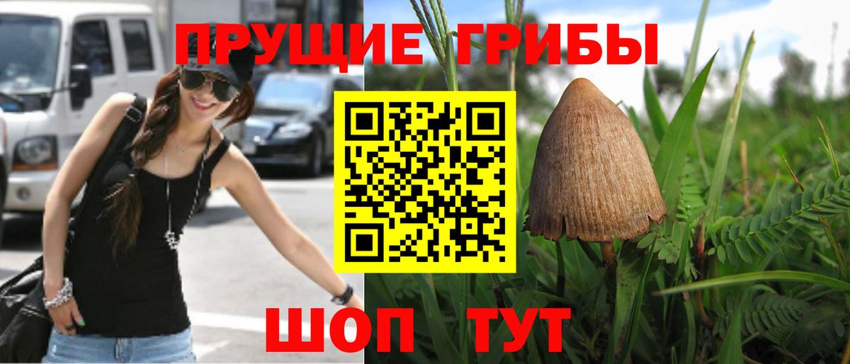 Краснокамск  Псилоцибиновые грибы Psilocybine cubensis  Вход с VPN 